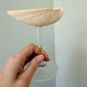 Set of 3- Handheld Shell Accent Coupe - Cream